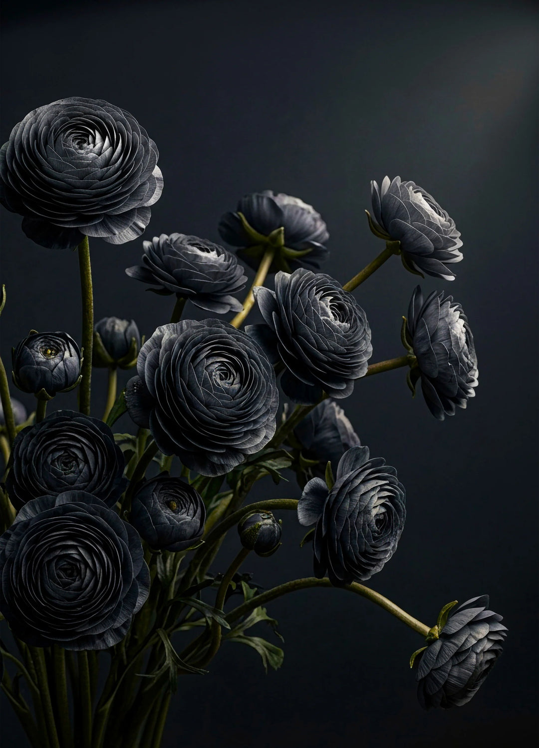 *Release April 2026 - Midnight Ranunculus - Mint by Michelle decoupage paper