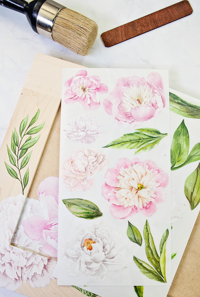 Mini transfer "Morning Peonies" by Redesign with Prima