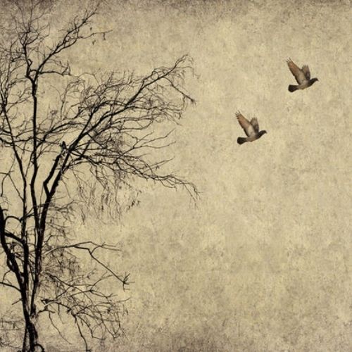 Flying Birds- Mint by Michelle decoupage papier