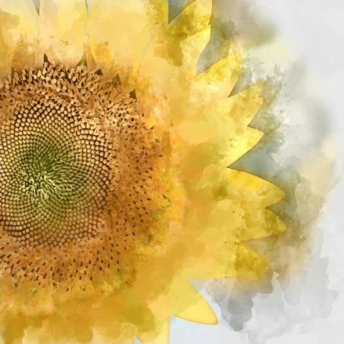 Sunflower - Mint by Michelle decoupage papier A3