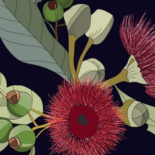 Gumnuts - Mint by Michelle decoupage papier