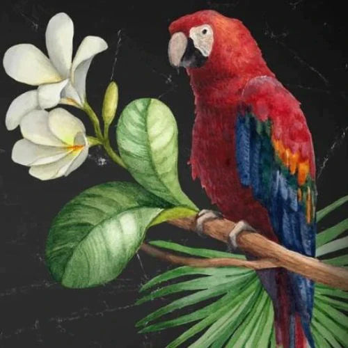 Parrot - Mint by Michelle decoupage papier A3