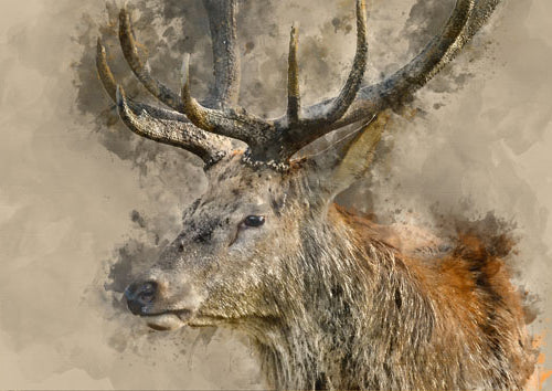 Yes, Deer - Mint by Michelle decoupage papier