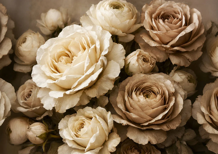 *Release April 2026 - Antique Cream - Mint by Michelle decoupage paper