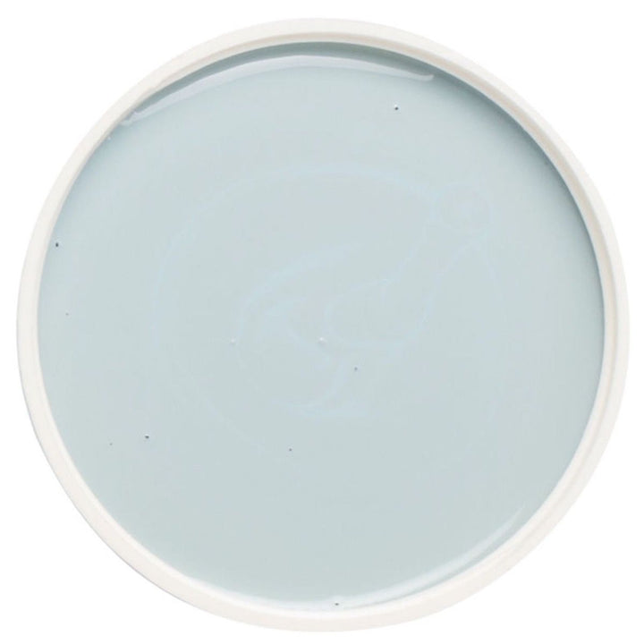 Fusion Mineral Paint - CHAMPNESS