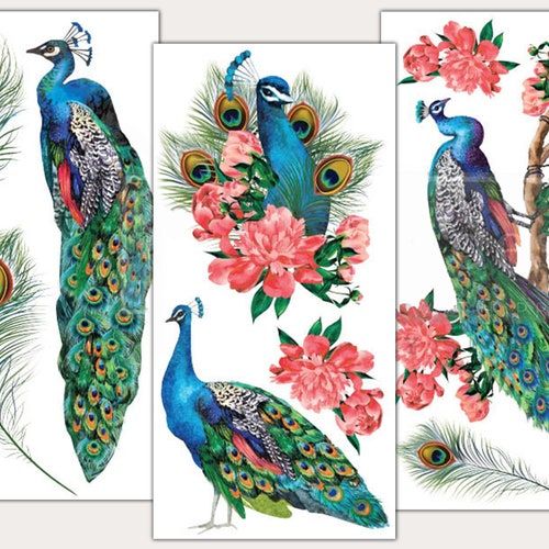 Mini transfer "Royal Peacock" by Redesign with Prima