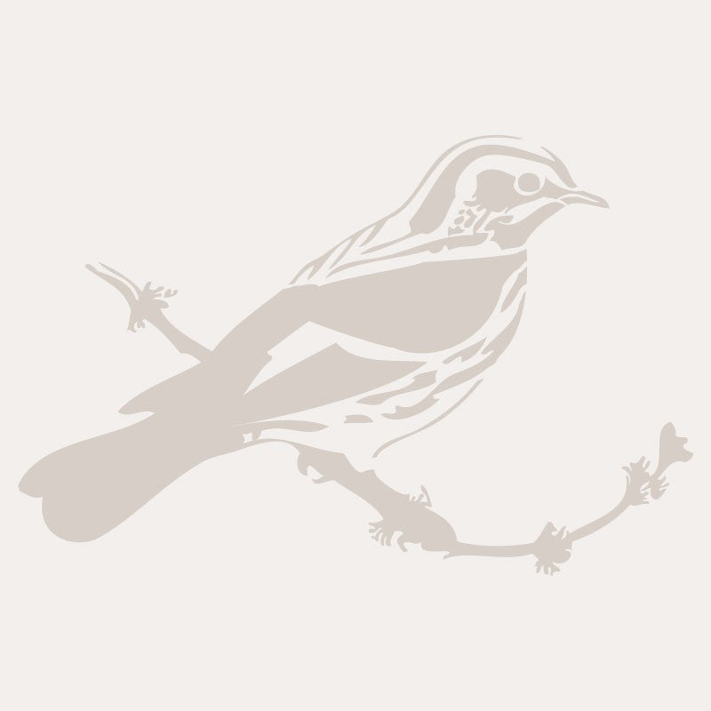 Sjabloon Dieren 01 - Vogel 20x20cm