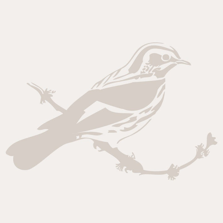 Sjabloon Dieren 01 - Vogel 20x20cm