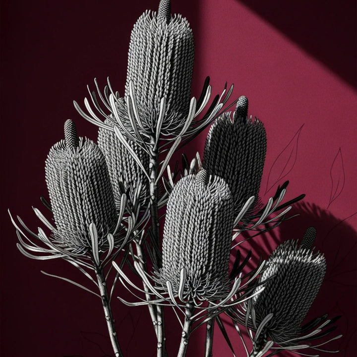 *Release April 2026 - Wine Banksia - Mint by Michelle decoupage paper